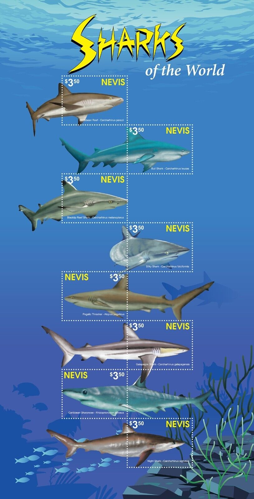 Nevis Sharks